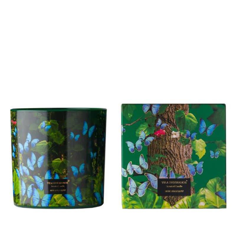 VELA BLUE BUTTERFLY G VILA HERMANOS