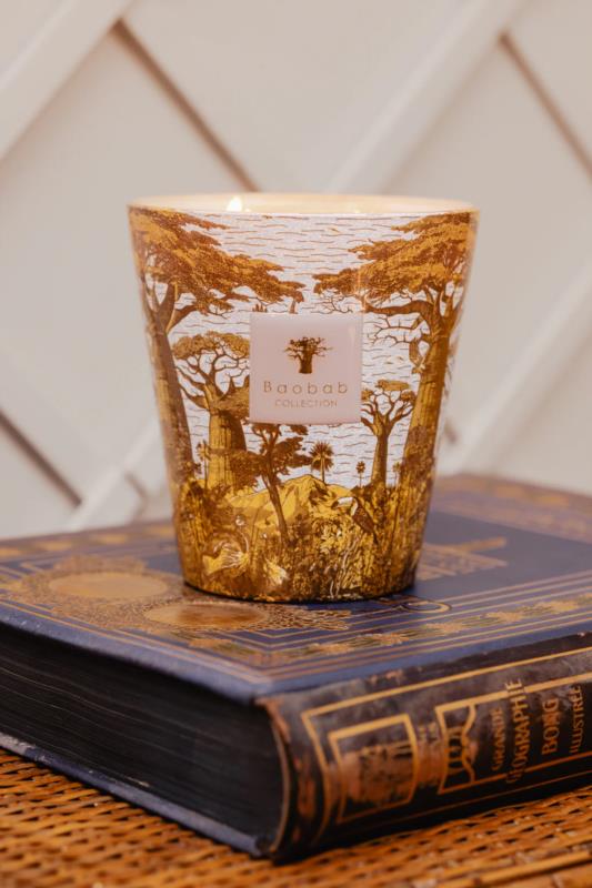 BAOBAB MAX 16 SACRED TREES BOUNKANI INSPIRACION