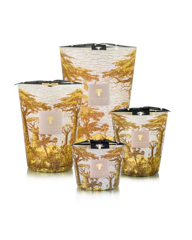 BAOBAB SACRED TREES BOUNKANI