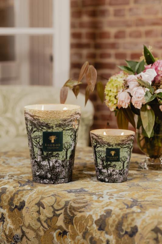 BAOBAB SACRED TREES TOUBA