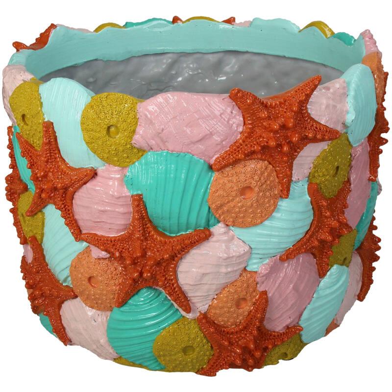 BASE BAJA CONCHAS COLORES