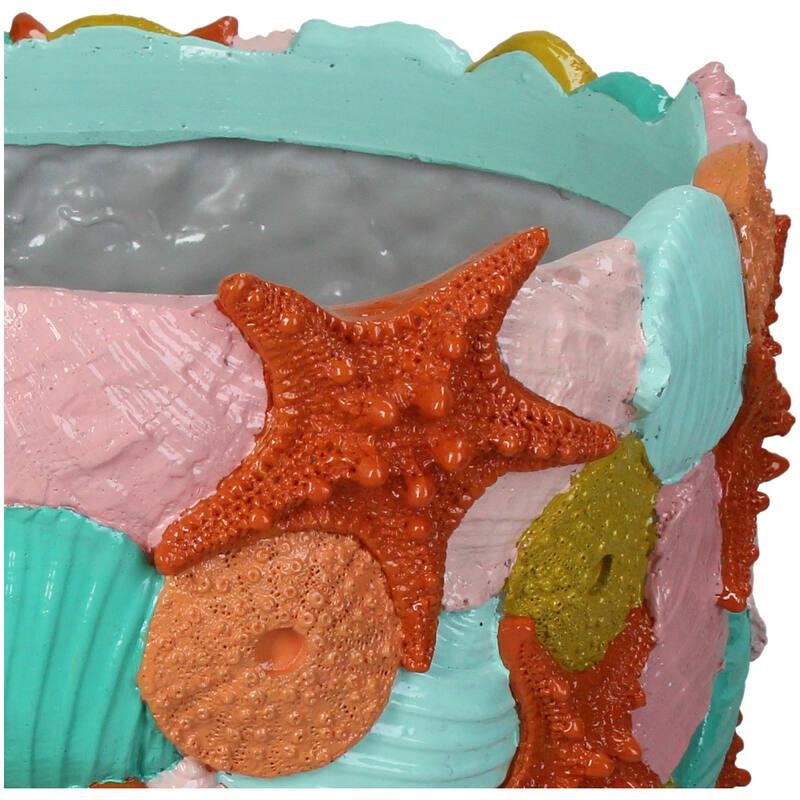 BASE BAJA CONCHAS COLORES DETALLE