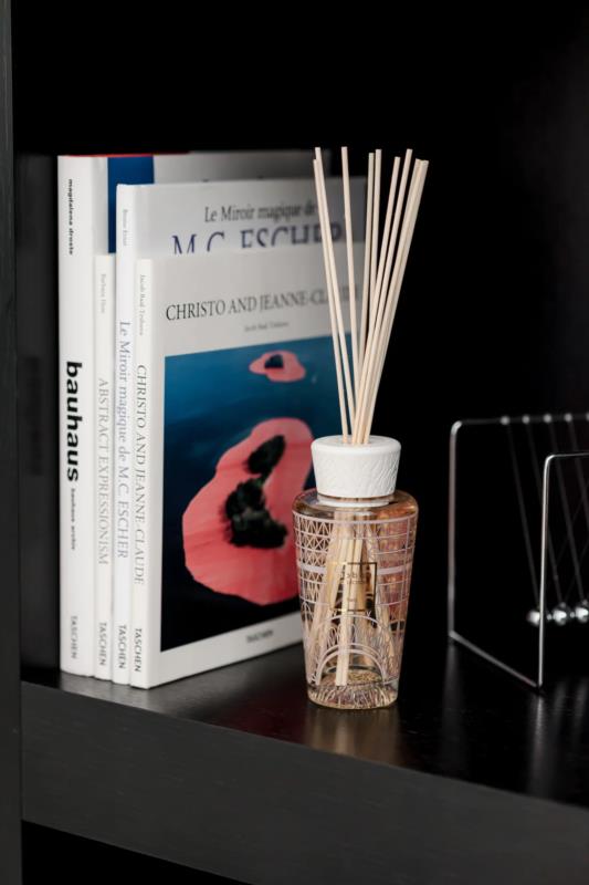BAOBAB DIFUSOR PARIS 16cm - 250ml
