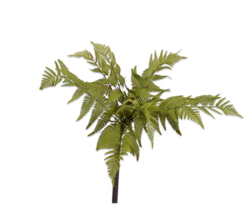 HELECHO VERDE POMO 46cm