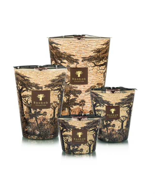 BAOBAB MAX 10 SACRED TREES MANKONO