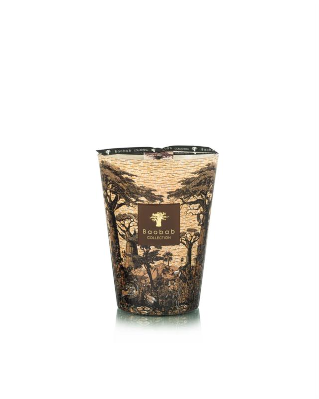 BAOBAB MAX 24 SACRED TREES MANKONO