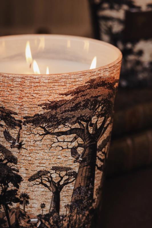 BAOBAB MAX 24 SACRED TREES MANKONO DETALLE