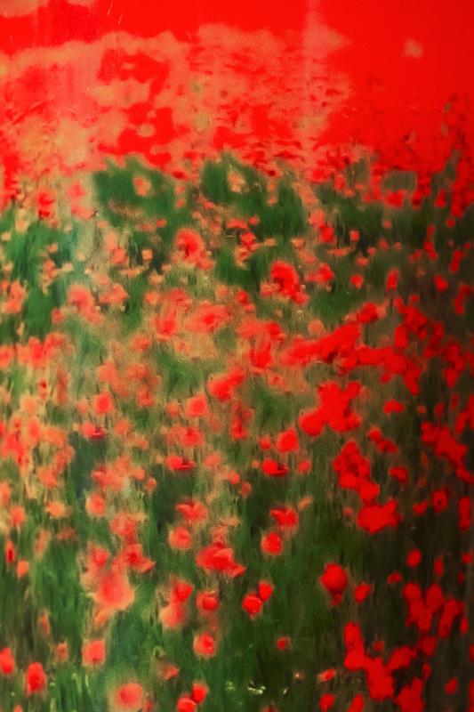 BAOBAB MAX 10 ARTY FLOWERS POPPIES