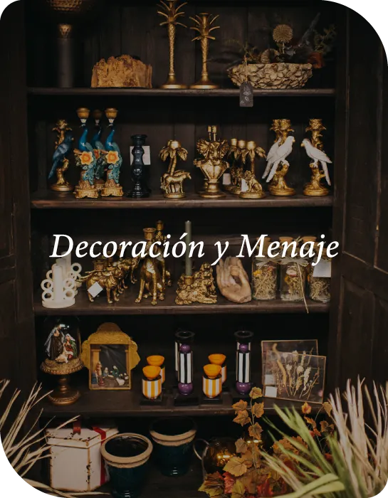 Elementos decorativos y artículos de menaje en Materia Botánica