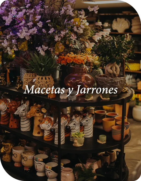 Macetas y jarrones para flores y plantas en Materia Botánica