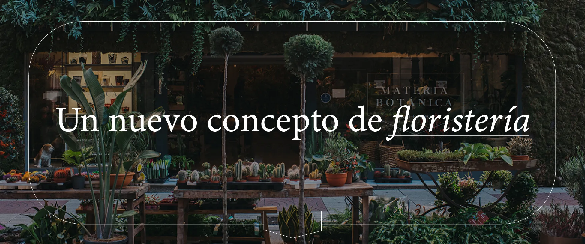 Materia Botánica, una floristería que rompe con lo tradicional 